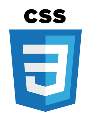 CSS Logosu